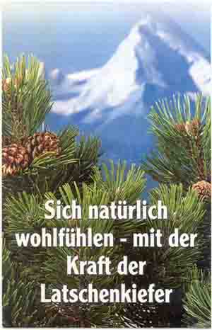 Die Kraft der Latschenkiefer